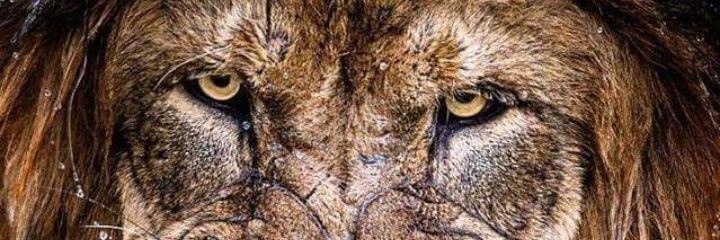 ates_aslanGS's profile banner image