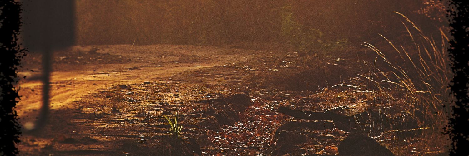 mithunaich4's profile banner image