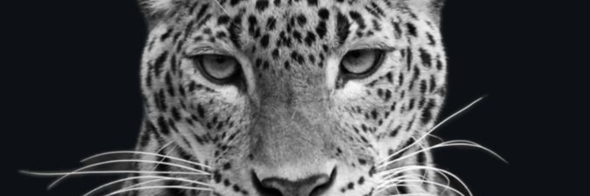 grtasorriso's profile banner image