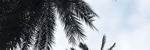 Daenerys banner