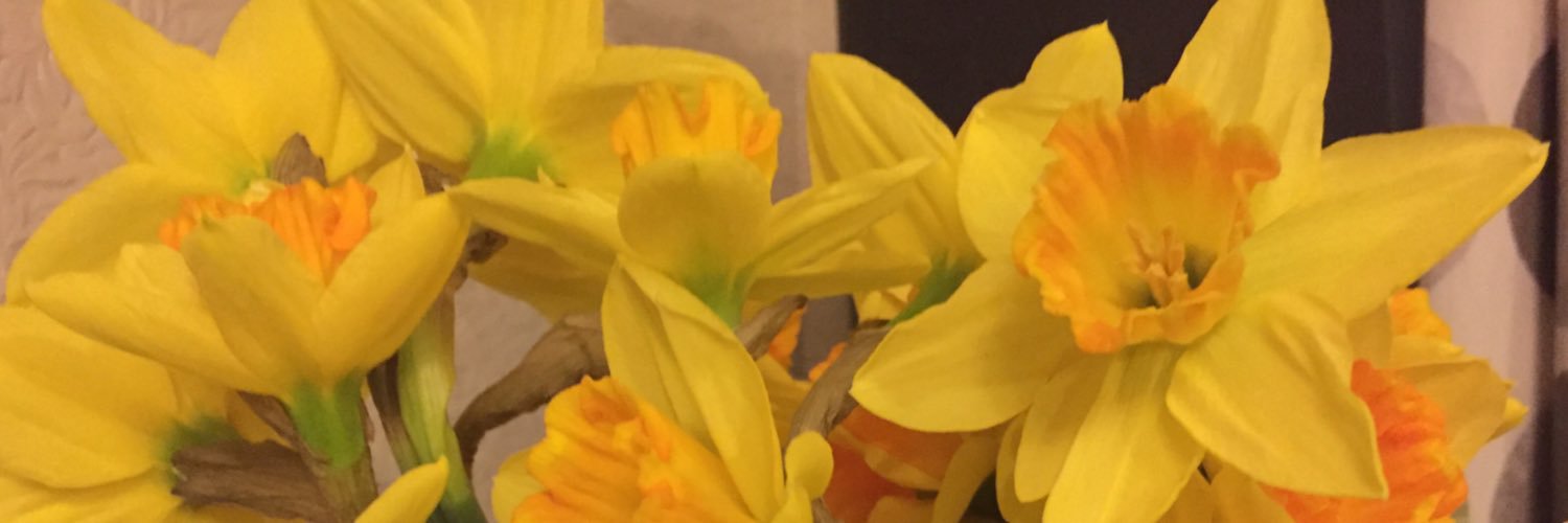 stokeautism's profile banner image