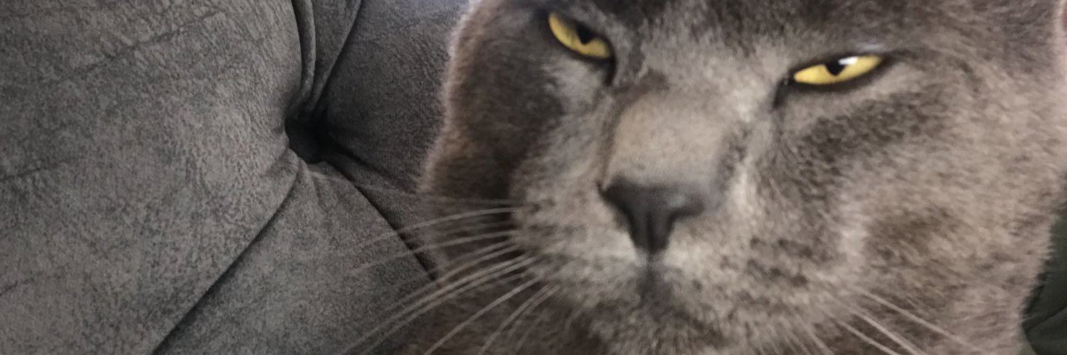 arzuipek01's profile banner image