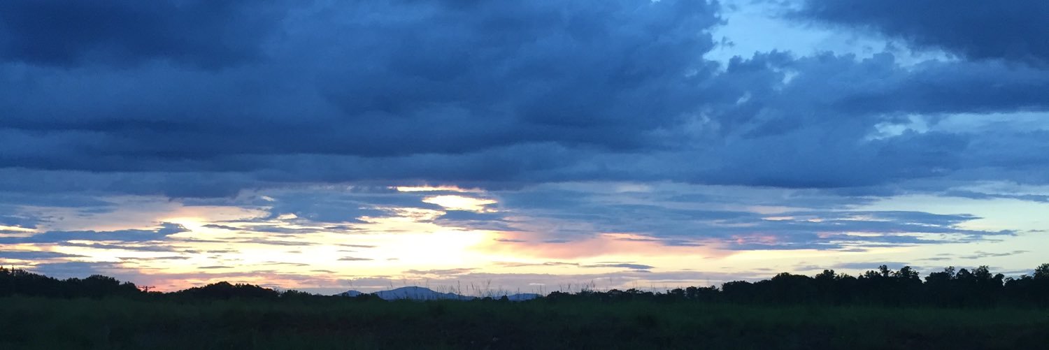 MorganReanne31's profile banner image
