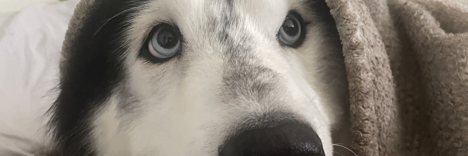 _EriikaaCastro's profile banner image