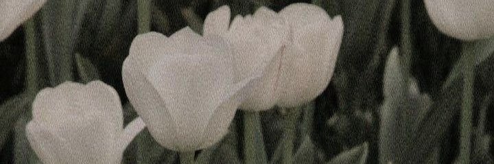 pandmeme's profile banner image