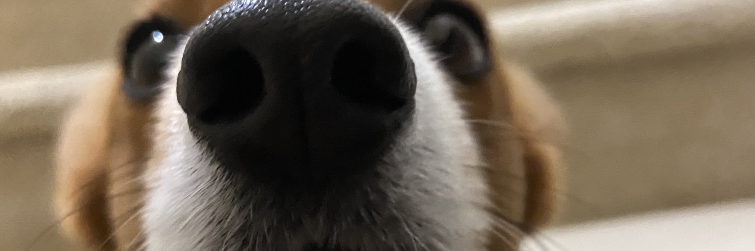 michaelG07's profile banner image