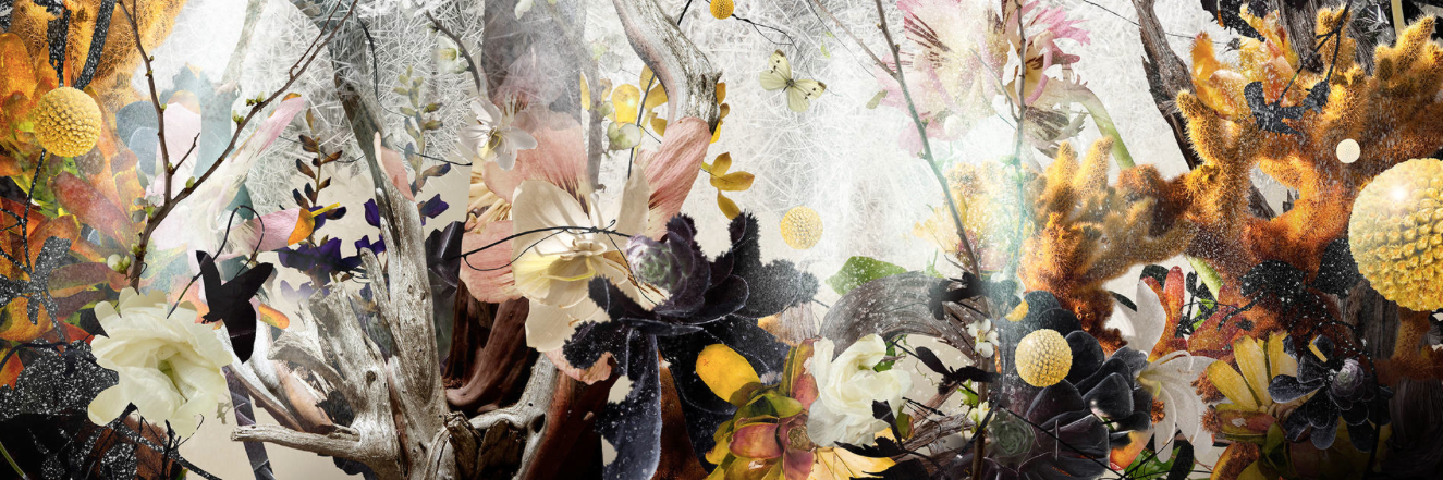 ElodieBugnon's profile banner image
