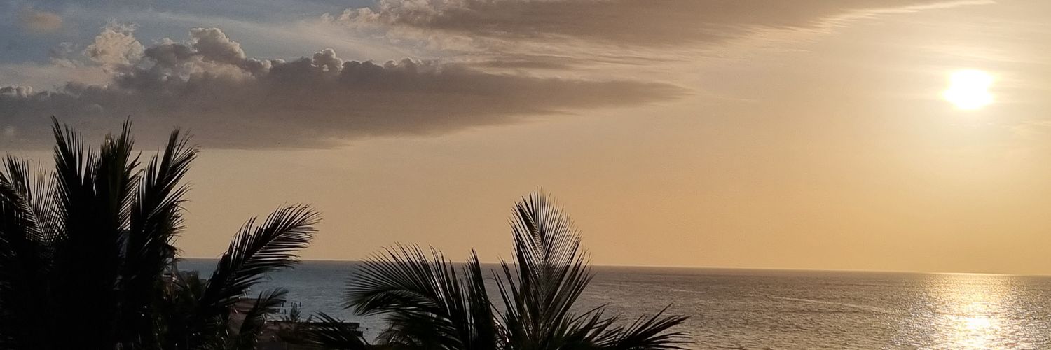 FanniLvarez's profile banner image