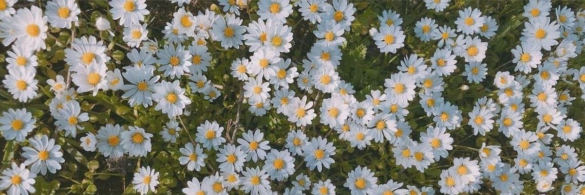 niumanlapig's profile banner image