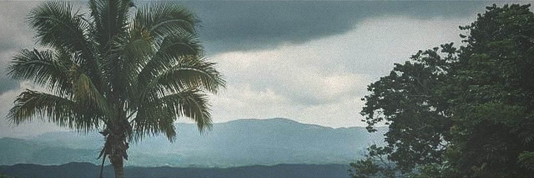 joaplum's profile banner image