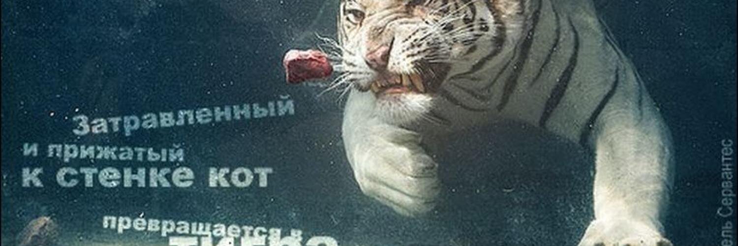 mulir75's profile banner image