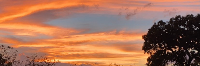desierayy's profile banner image
