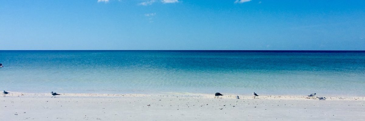 alanwilson02's profile banner image