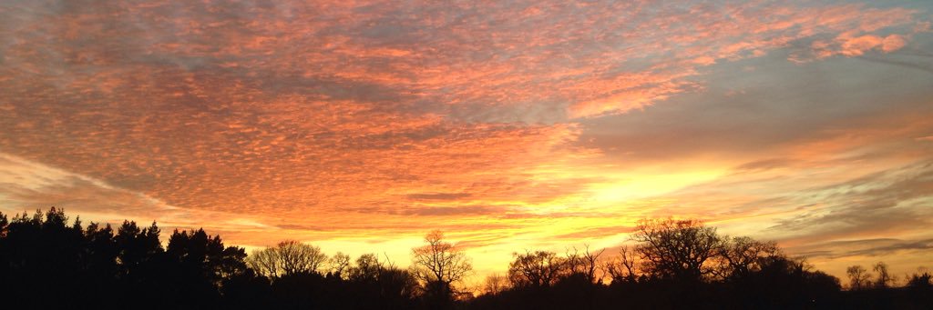 Mary Pallister banner