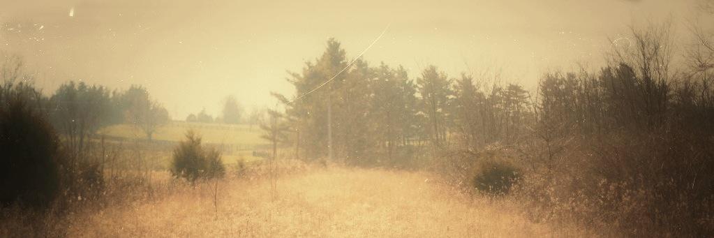 thefuturebum's profile banner image