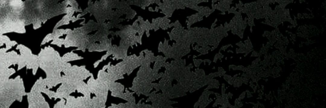 aReaderOfBooks's profile banner image