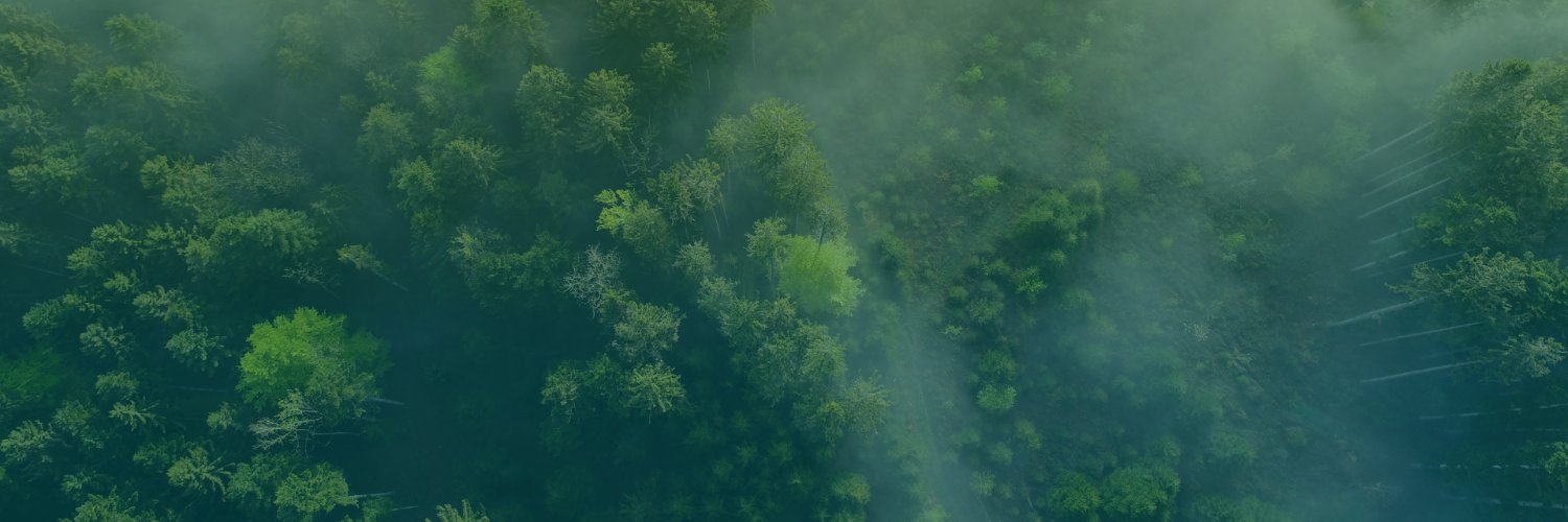 DechinaAdriana's profile banner image