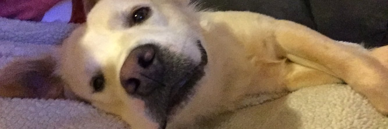MicahGrace2's profile banner image