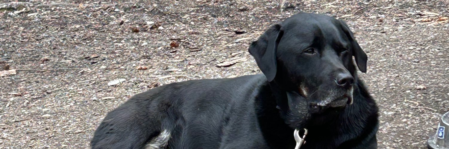 MichaelAnthony🇨🇦🪶 banner