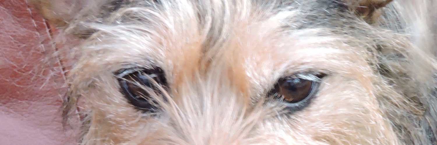 walverden's profile banner image