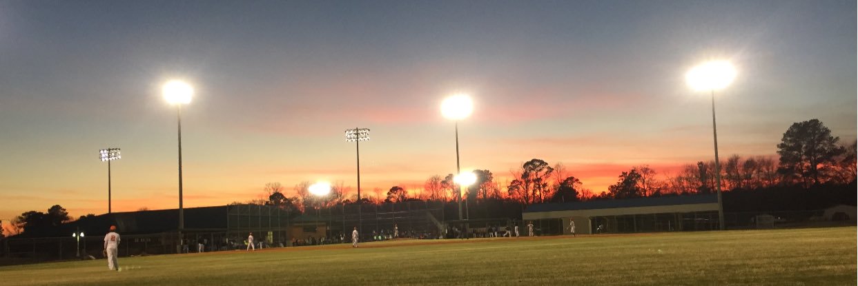 Tiger Baseball banner