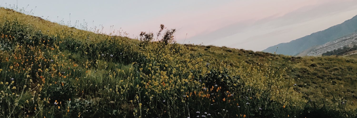 ashhsolis's profile banner image