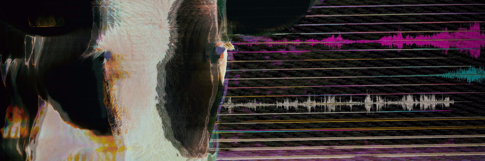 AdamLorenCarl's profile banner image