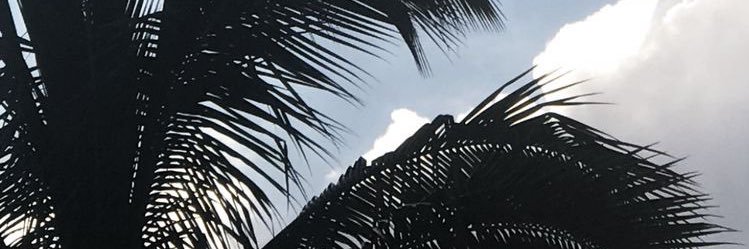 _sergiotm99's profile banner image