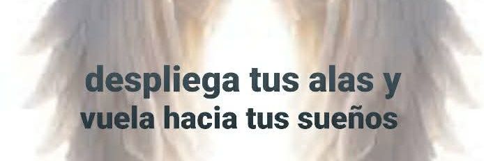 ochoa_a's profile banner image