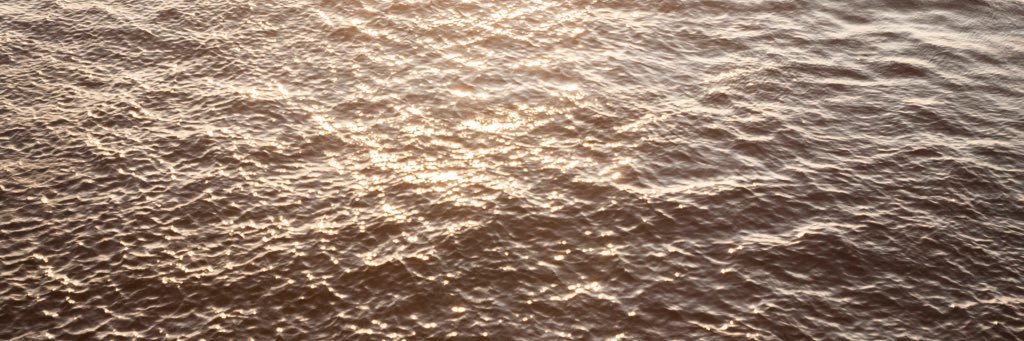 westredg's profile banner image