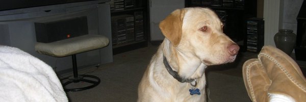 Rednor1 Profile Banner