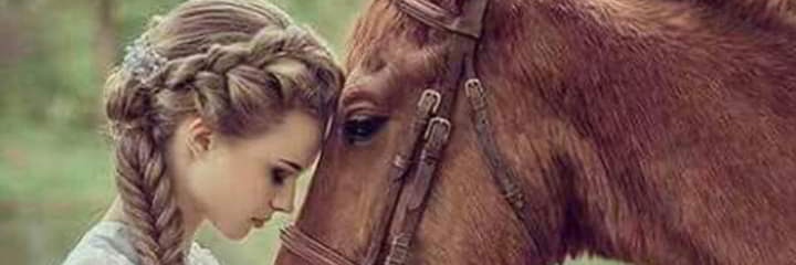SajaZarqa's profile banner image
