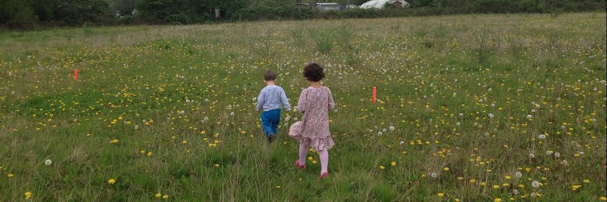 Weronika Ozpolat banner