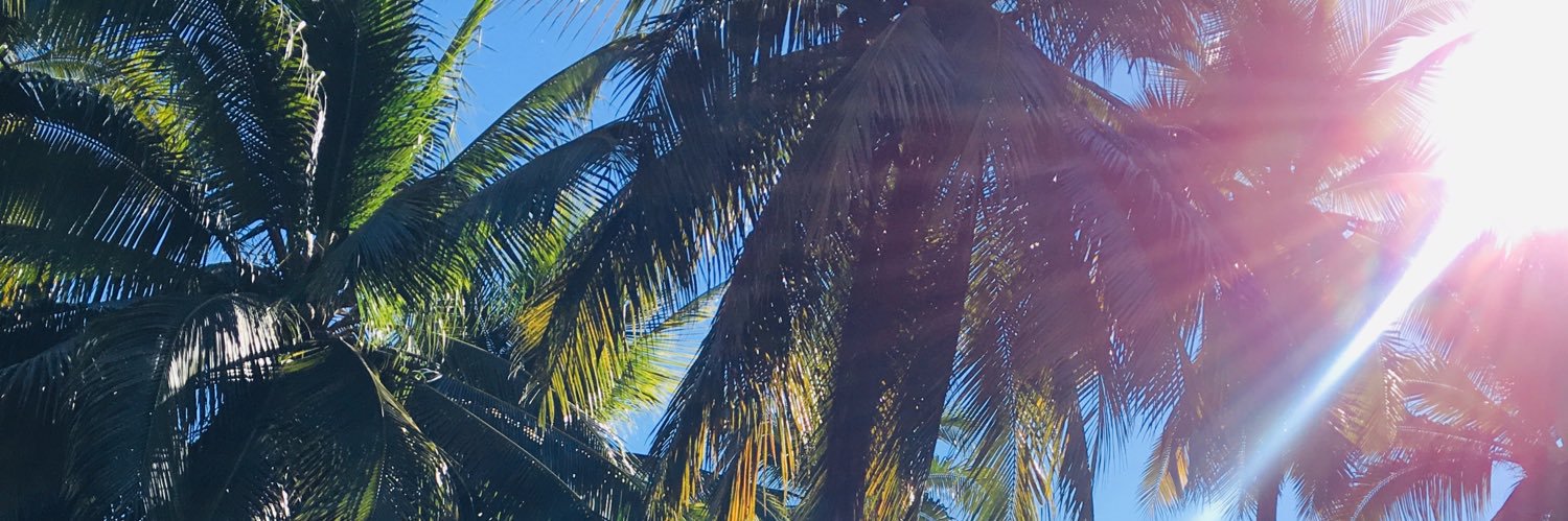 roxecita's profile banner image