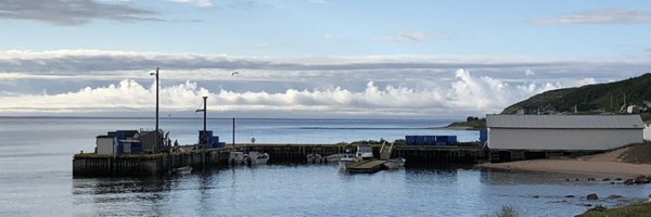 HealeyDella Profile Banner