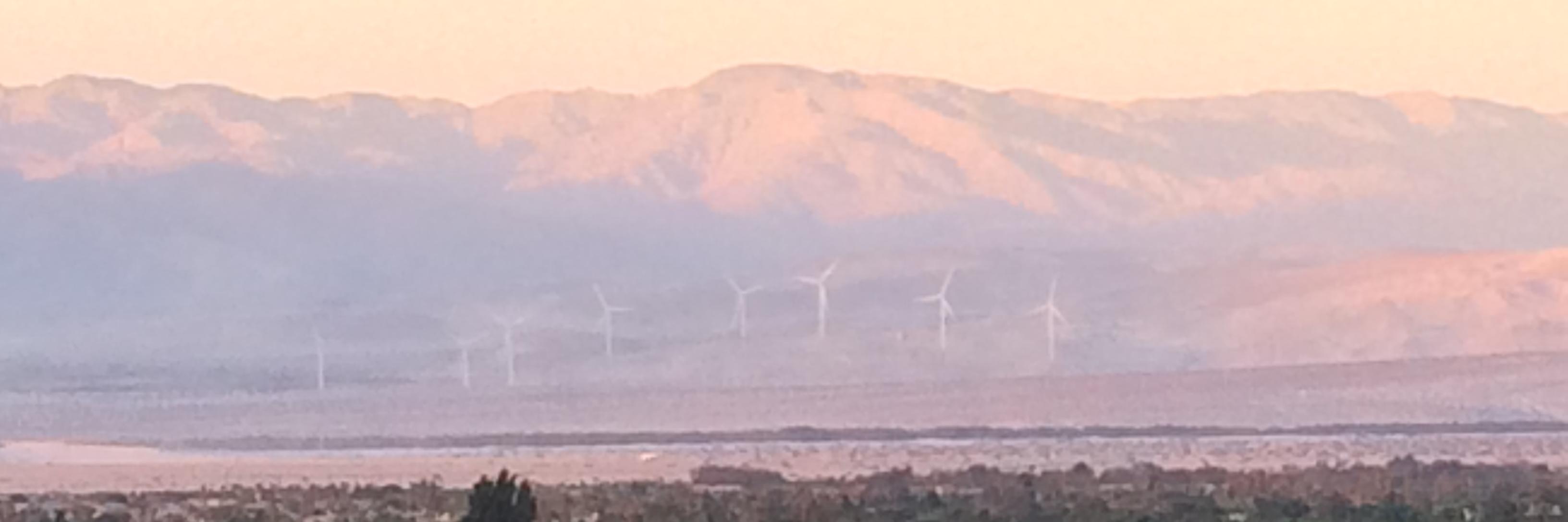 Tracy Piper, M. Ed., Ed. D. banner