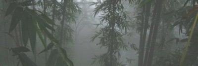 marianna. banner