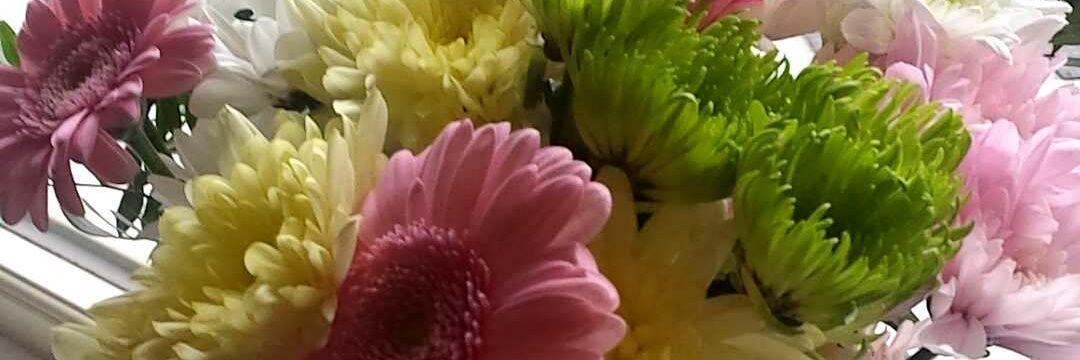 Chatterbox Diaries banner