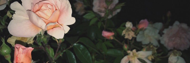 111MFULL's profile banner image