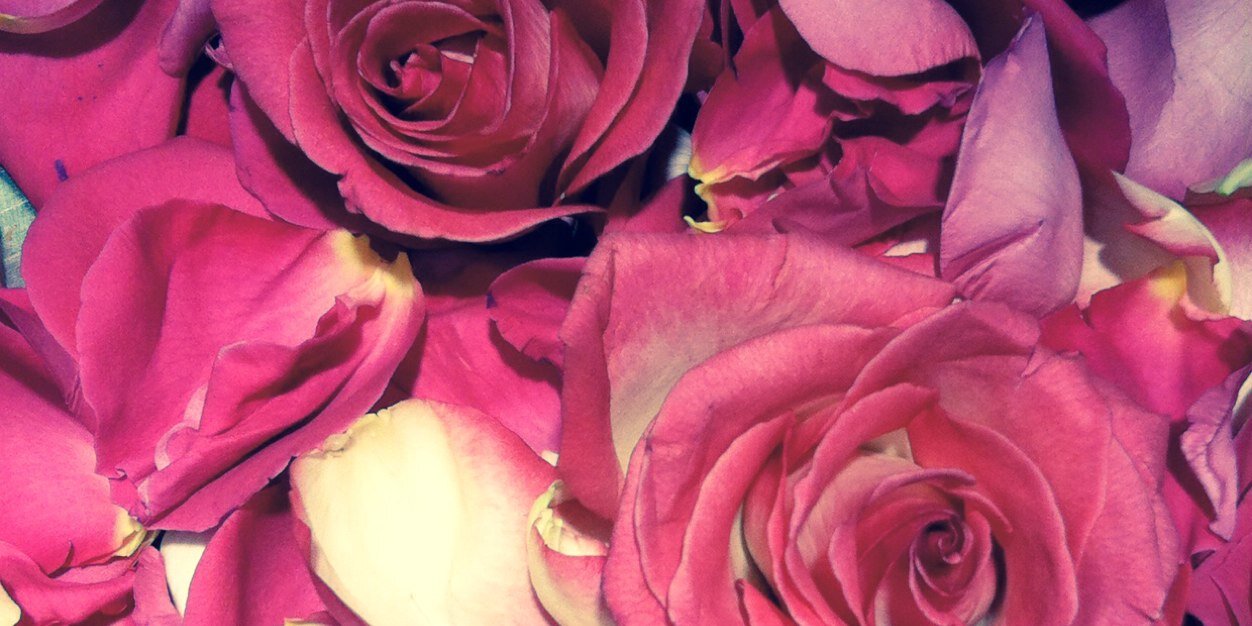 Bailey_Kablack's profile banner image