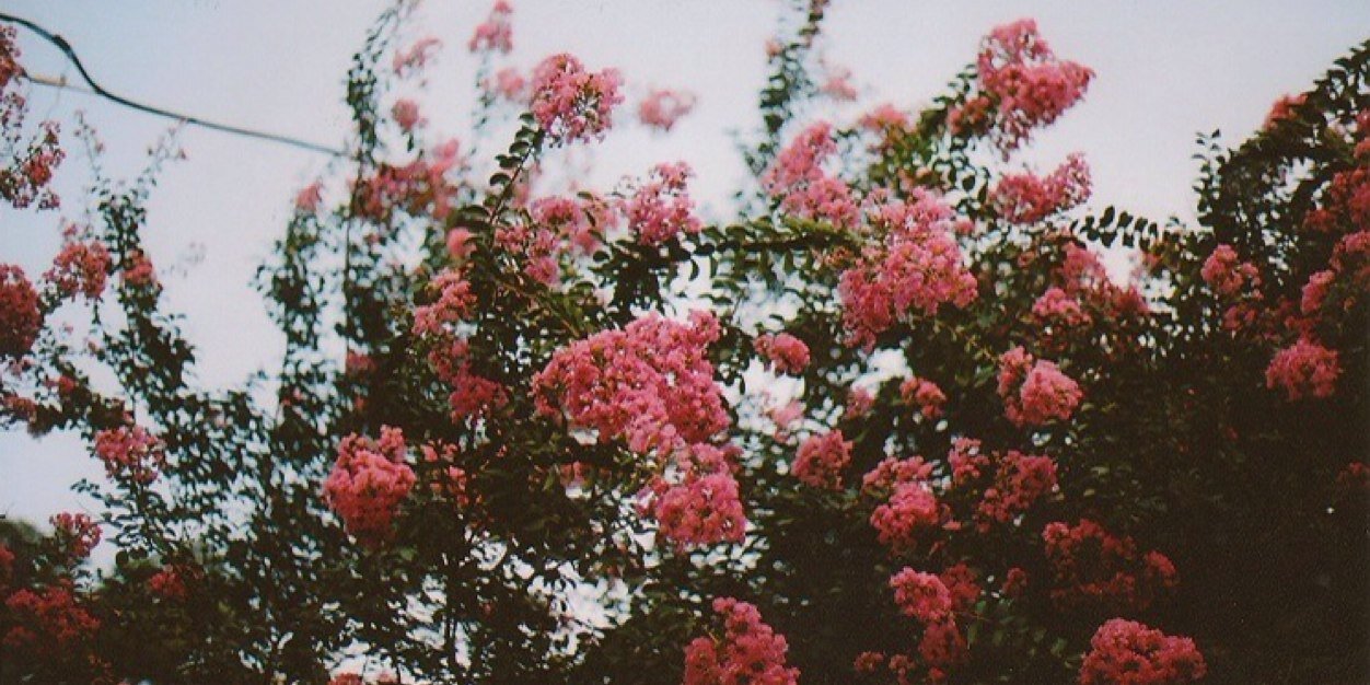 mayaremo014's profile banner image