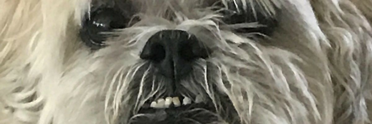 jamie_to1's profile banner image