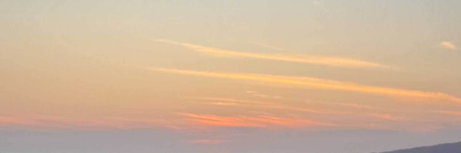 Tededith's profile banner image