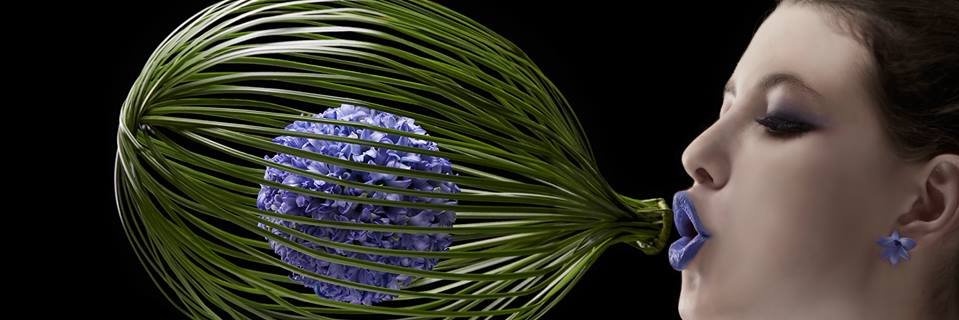nvsh64's profile banner image