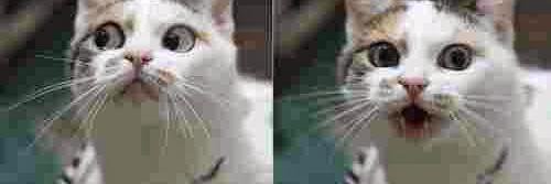 RipParker's profile banner image