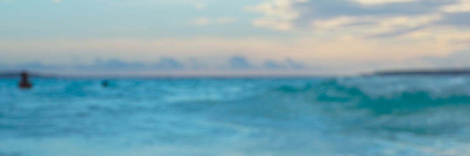 Gin_🇮🇩 banner