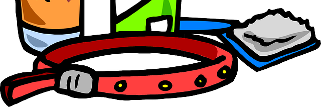 KittenFemboy's profile banner image