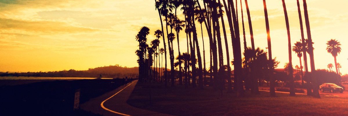 Patrick Renner banner