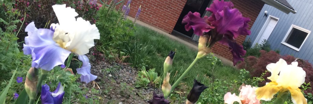 CassondraY's profile banner image