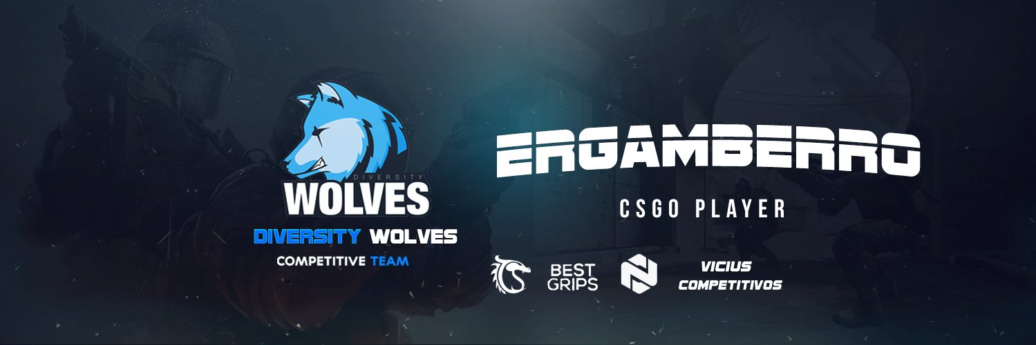 ErGamberro's profile banner image